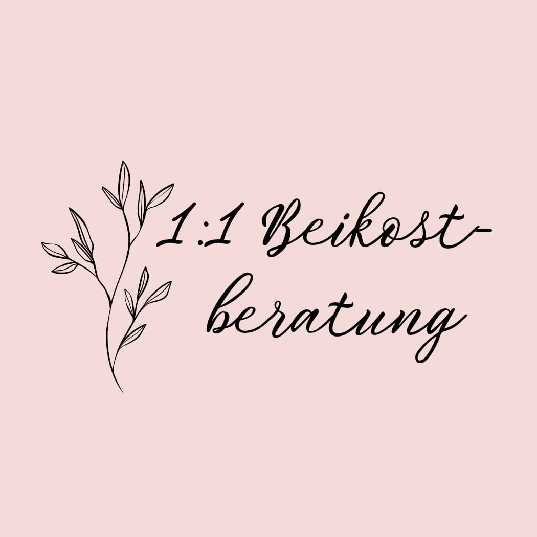1:1 Beikostberatung
