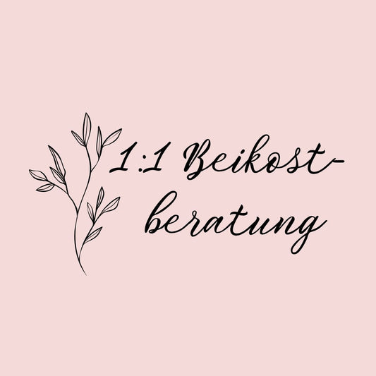 1:1 Beikostberatung